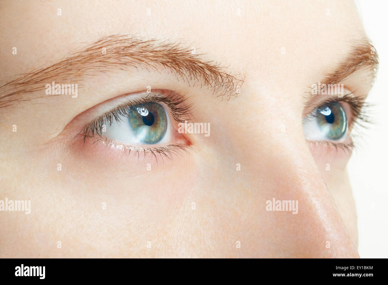 Woman blue eyes macro, vision concept Stock Photo