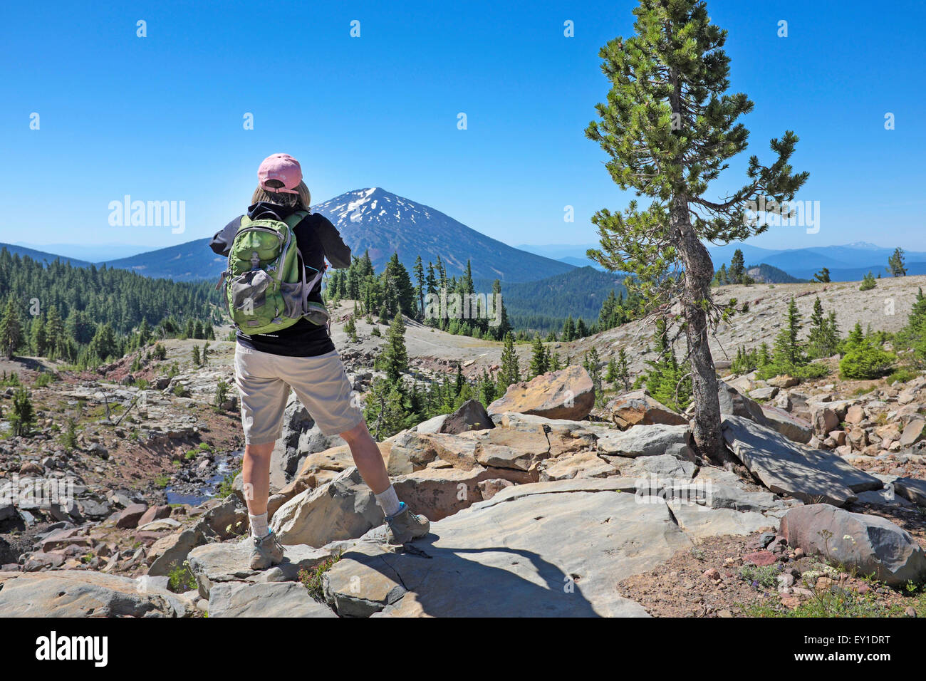 A view of Mount Bachelor during a summer hike into the high country of the Oregon Cascades near Bend, Oregon Stock Photo