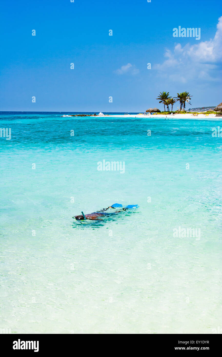 Man snorkeling, Piscadera Bay Beach Curacao Stock Photo