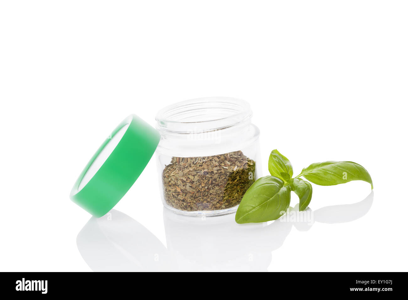 Fresh basil herb and dry basil spice in glass jar isolated on white
