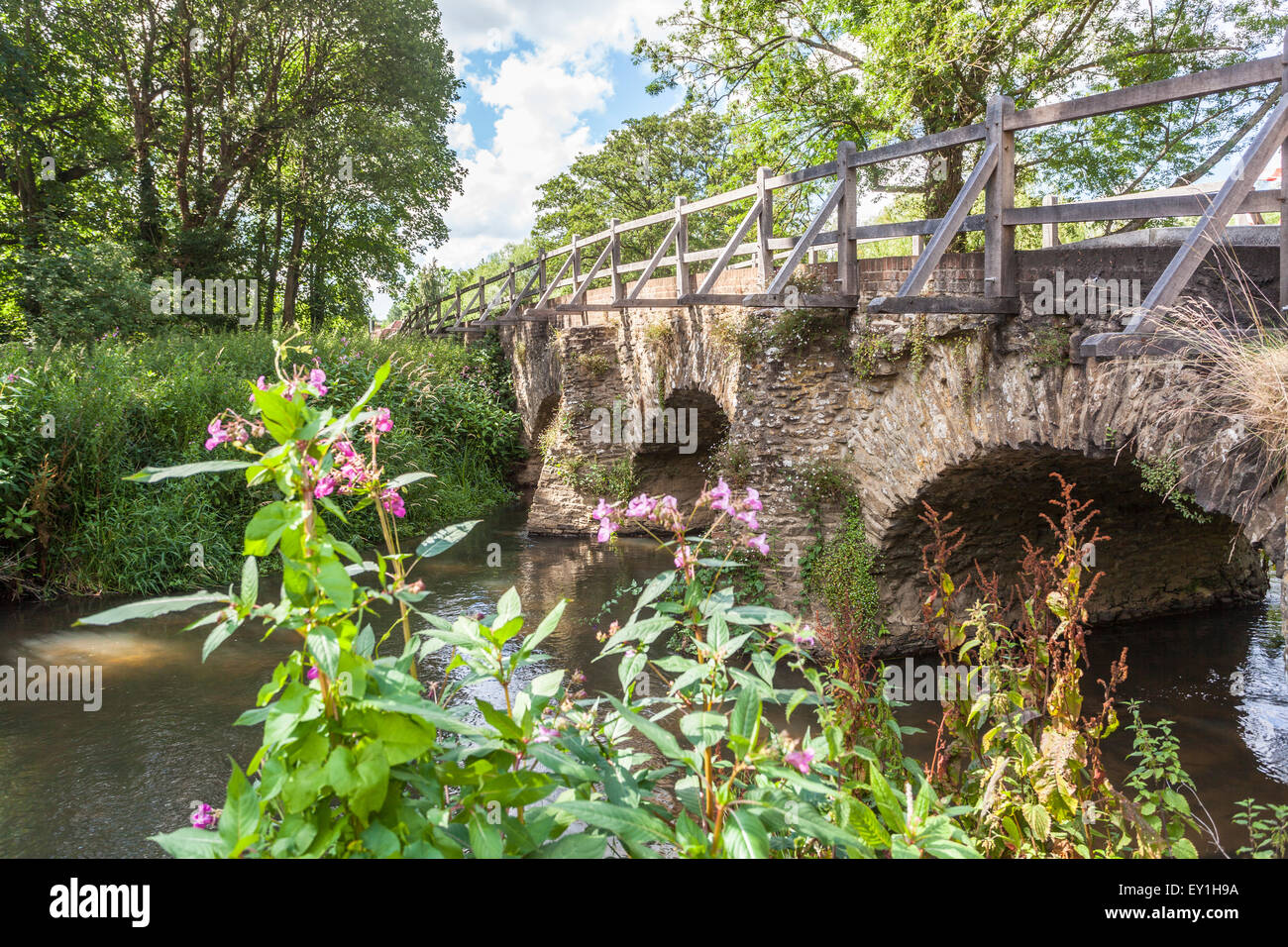 Eashing surrey england hires stock photography and images Alamy