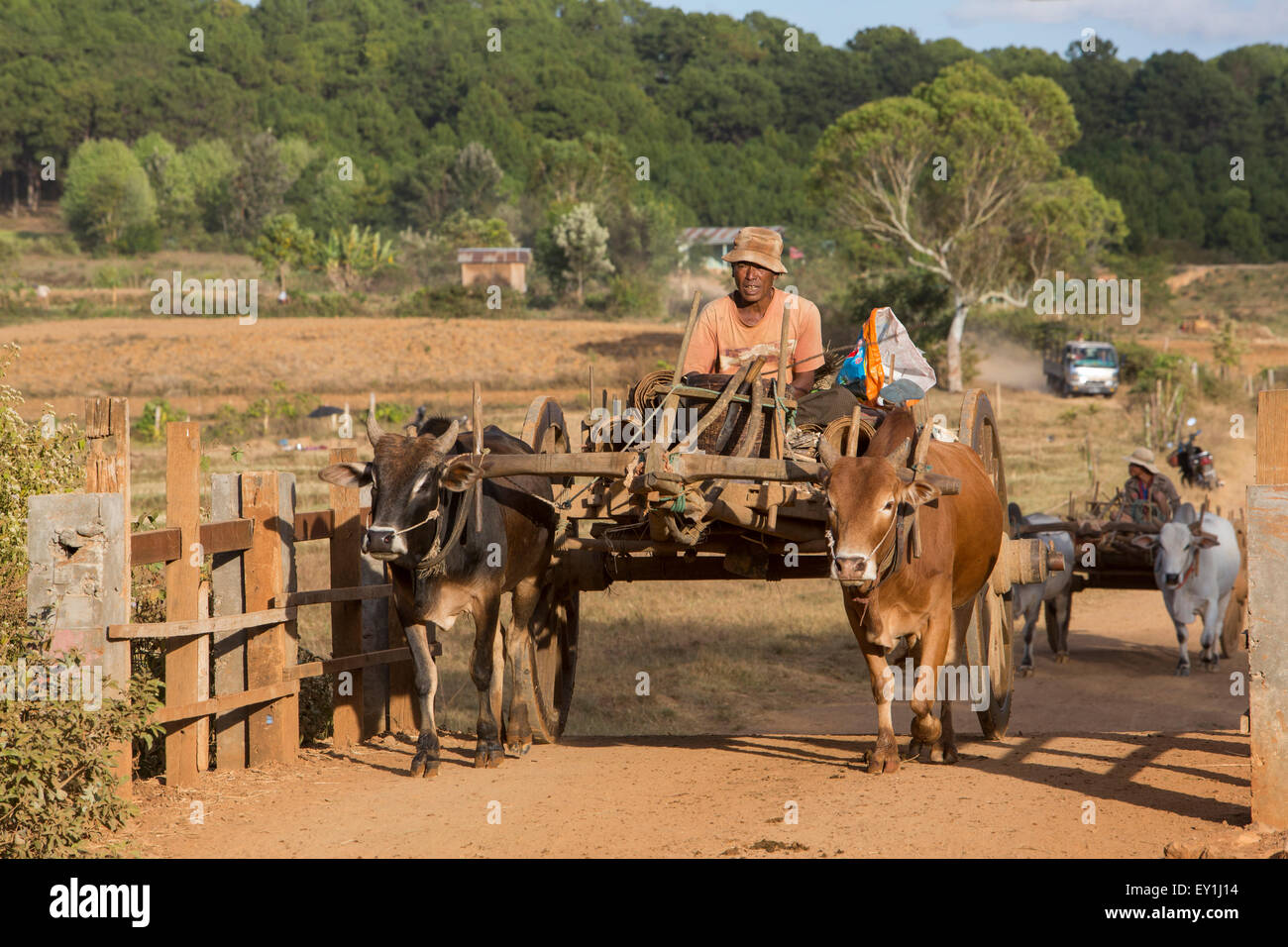 Ranchers on ox carts in Shan Hills, Myanmar Stock Photo