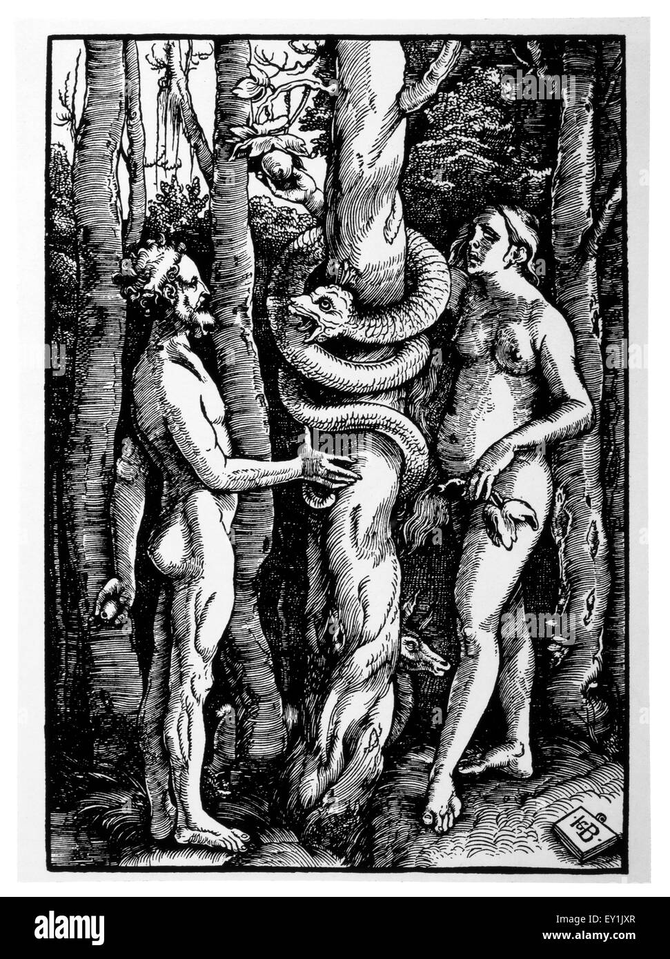 Adam and Eve, Woodcut, Hans Baldung Grien, 1514 Stock Photo