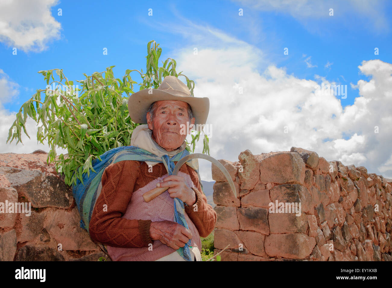 RAQCHI PERU -JANUARY 15: Unidentified Quechua indian man works farming inside Raqchi Ruins, Peru on January 15, 2013. Raqchi Rui Stock Photo