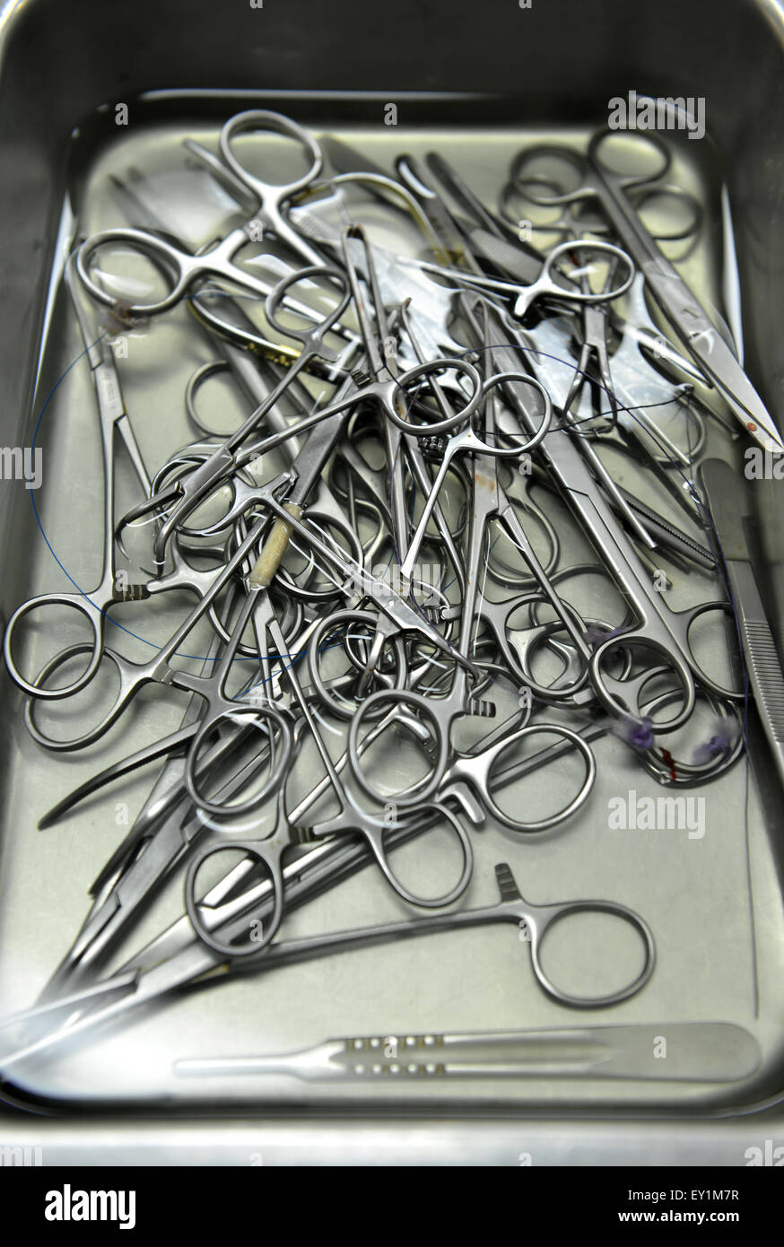 surgical instruments in anticeptic agent Stock Photo