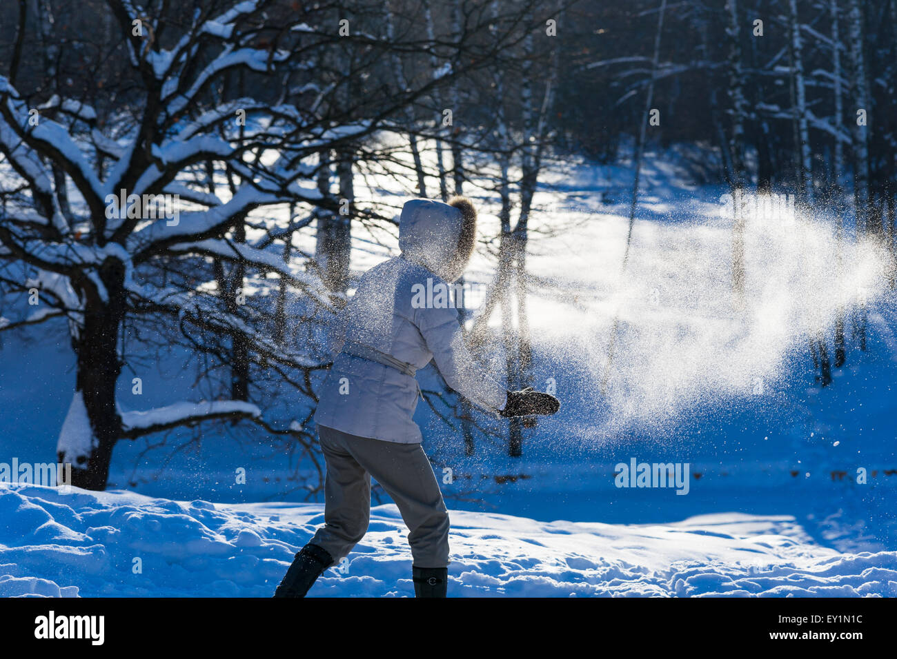 Unidentified, unrecognizable woman plays snowball fight in the winter forest. Snow powder in the air Stock Photo