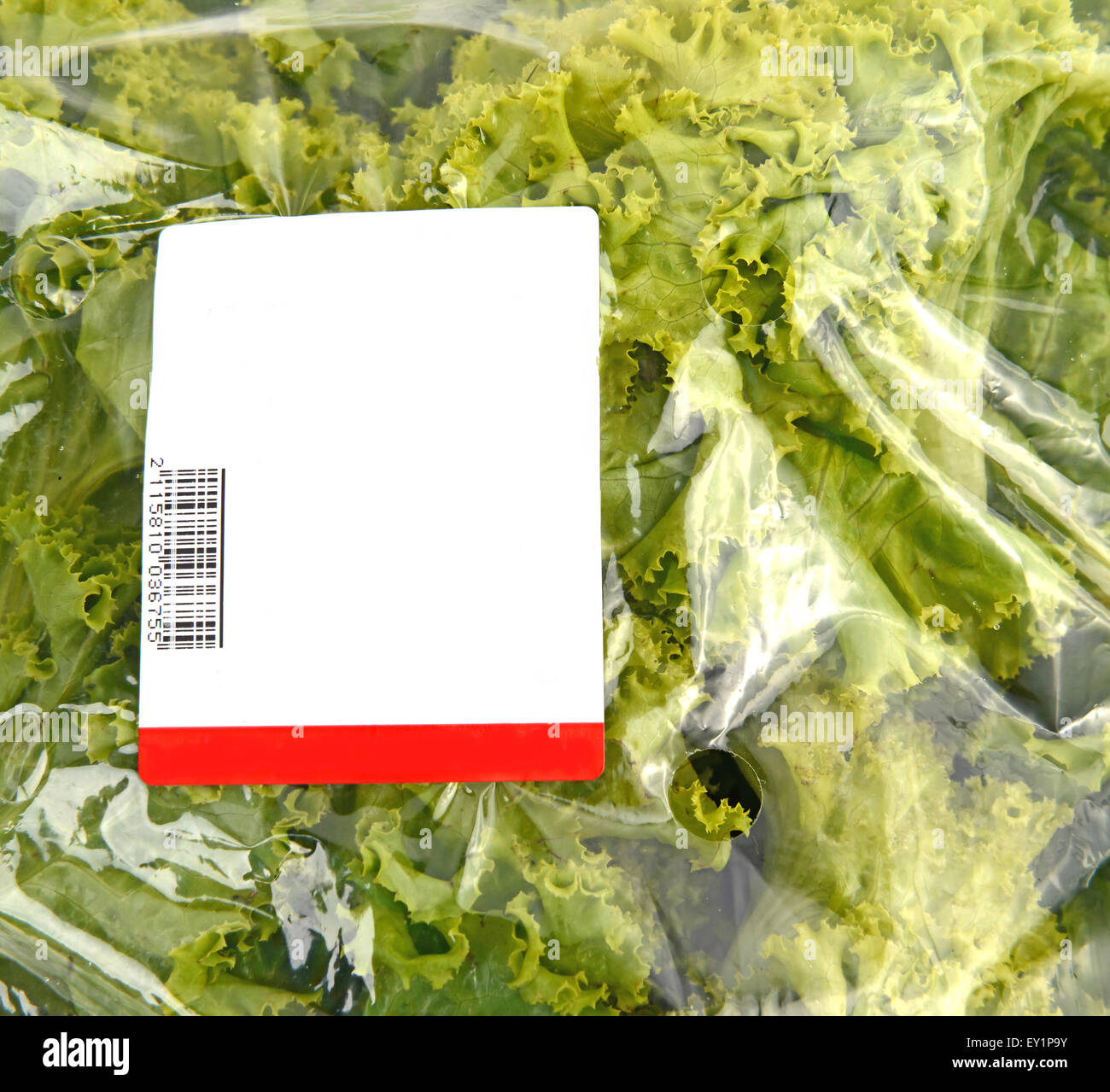 iceberg lettuce in plastic bag package with price tag Stock Photo Alamy