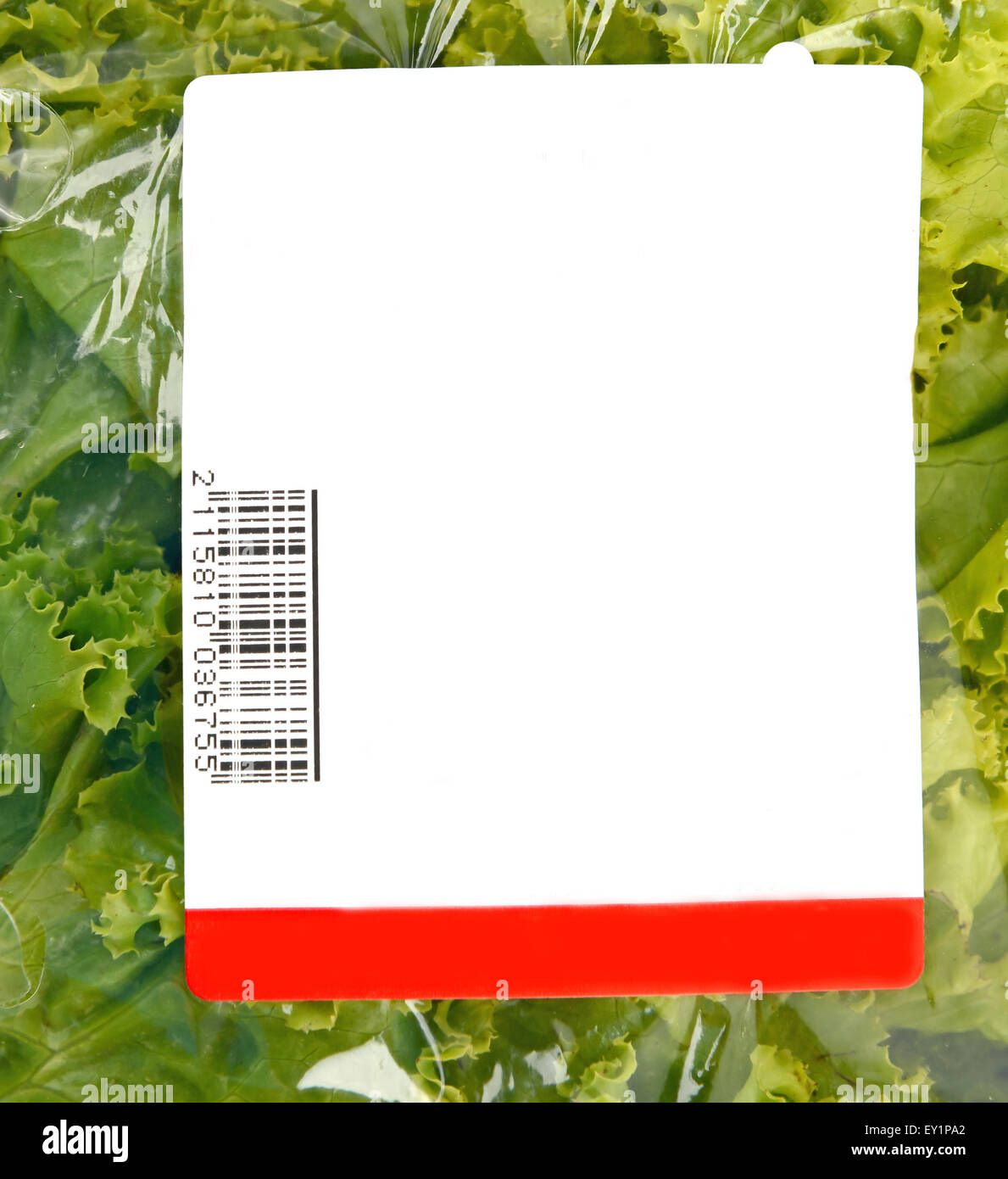 iceberg lettuce in plastic bag package with price tag Stock Photo
