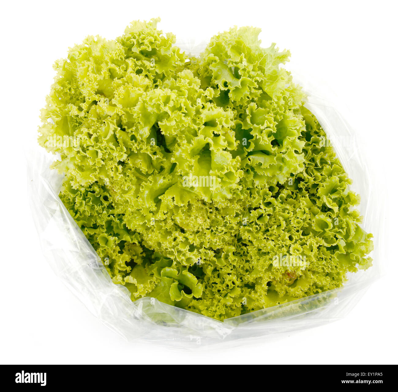 iceberg lettuce in plastic bag package with price tag Stock Photo