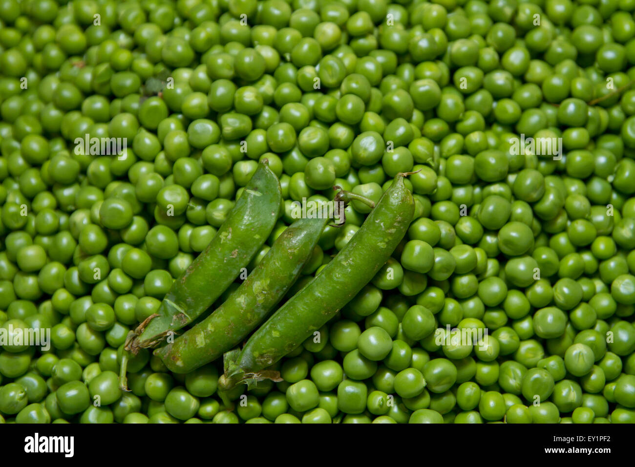 Pea Texture Modern sweet pea hi-res stock photography and images - Alamy