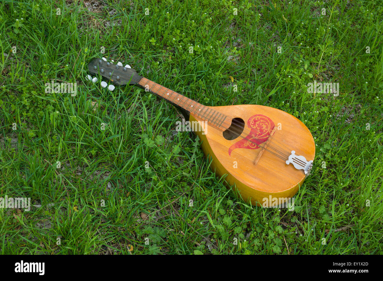 Needless mandolin lost in spring grass Stock Photo