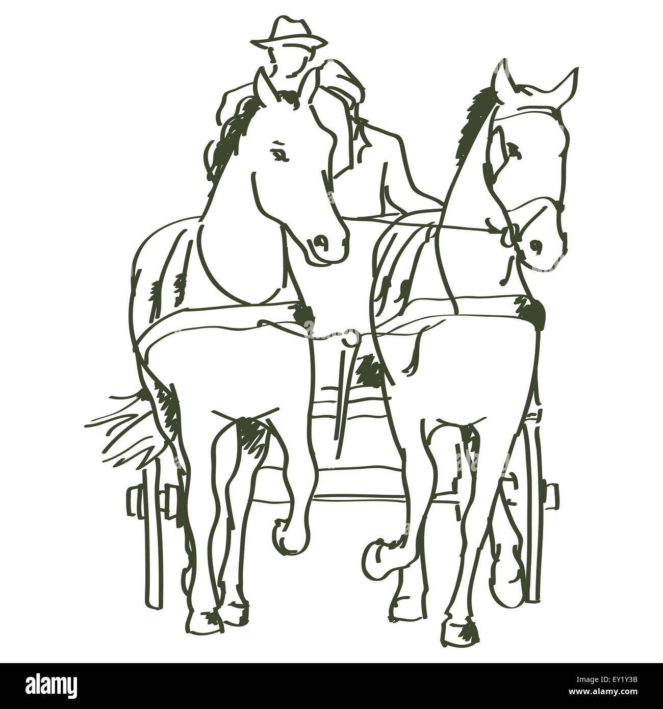 hand drawn horses - vector illustration Stock Vector Image & Art - Alamy
