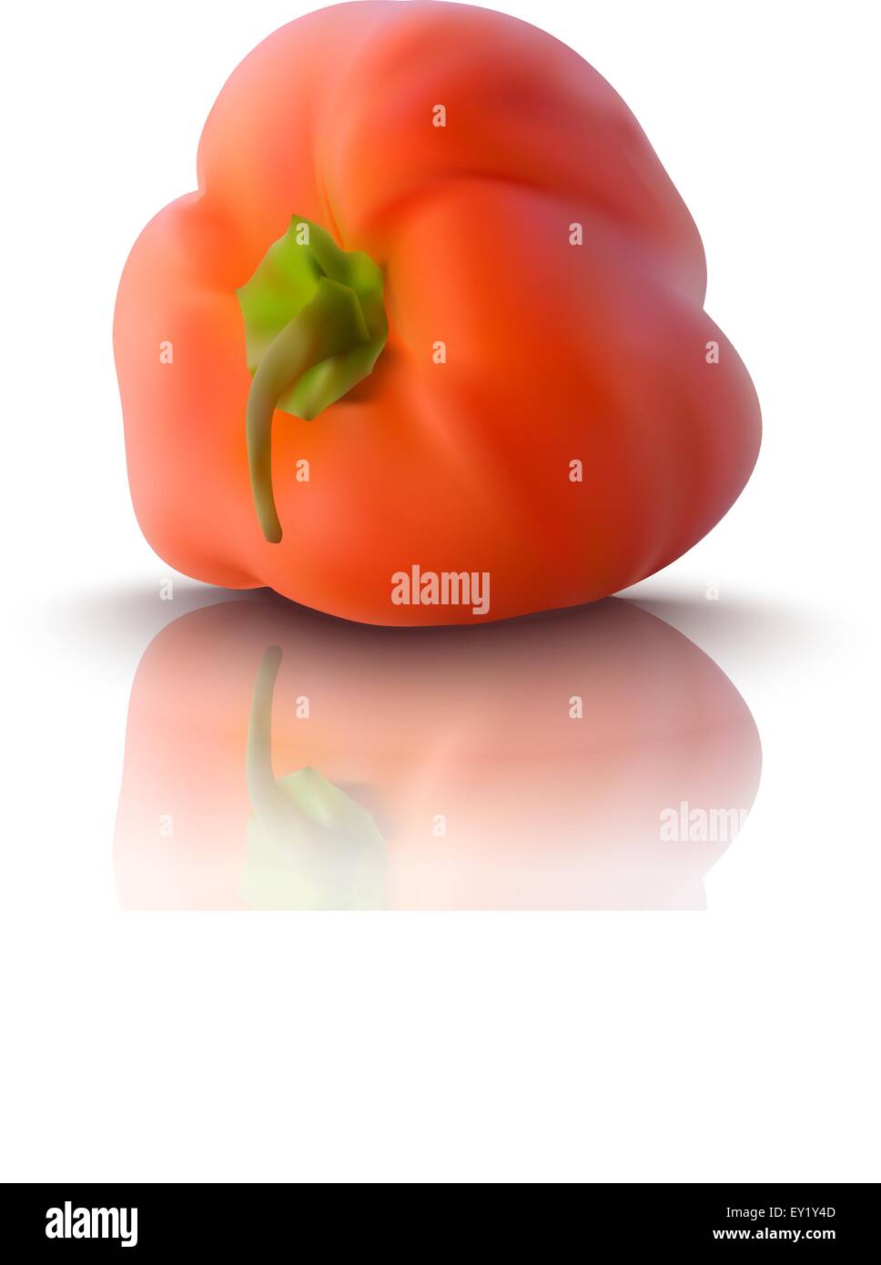 realistic red bell pepper - vector illustration Stock Vector
