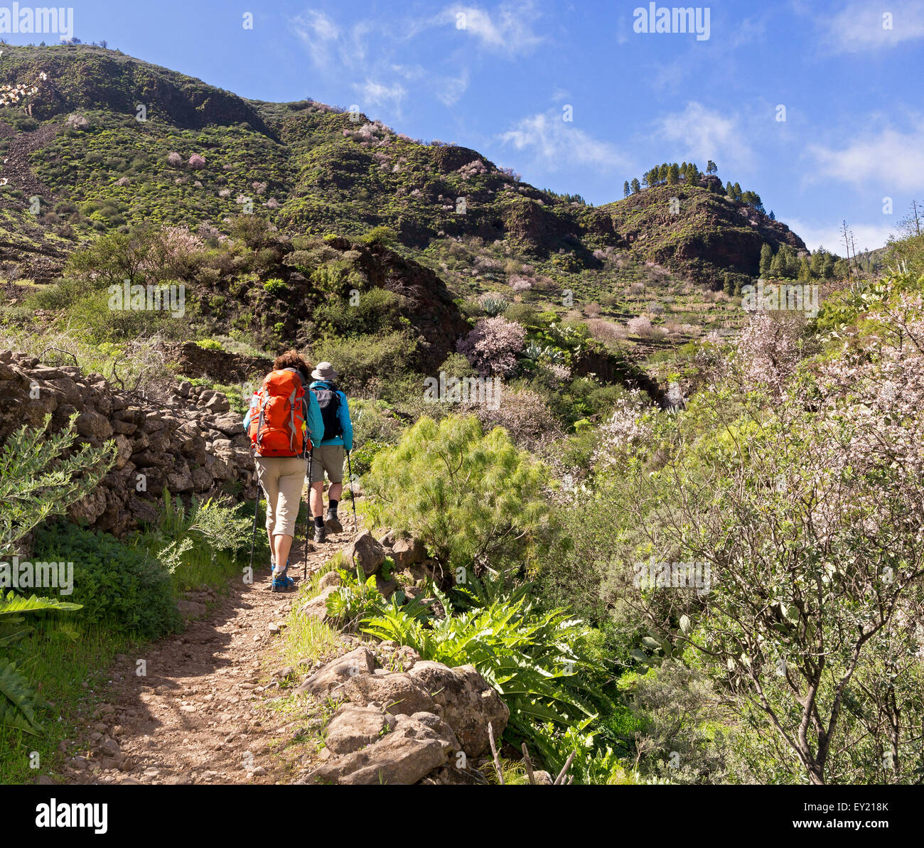 Hikers in the Barranco de Guayadeque canyon, near Agüimes, Gran Canaria, Canary Islands, Spain Stock Photo