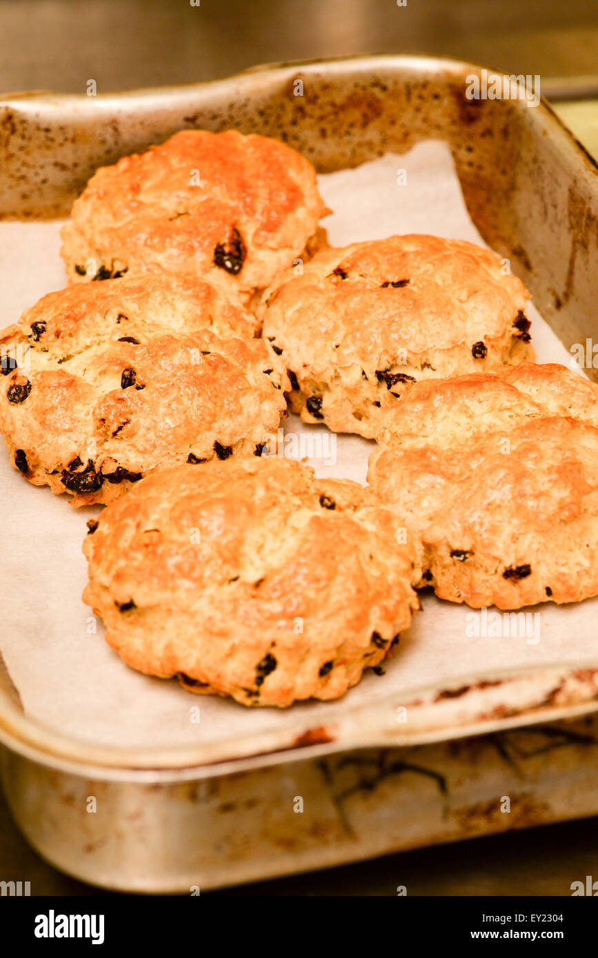 scone, english, traditional, british, sweet, baked, afternoon, tea