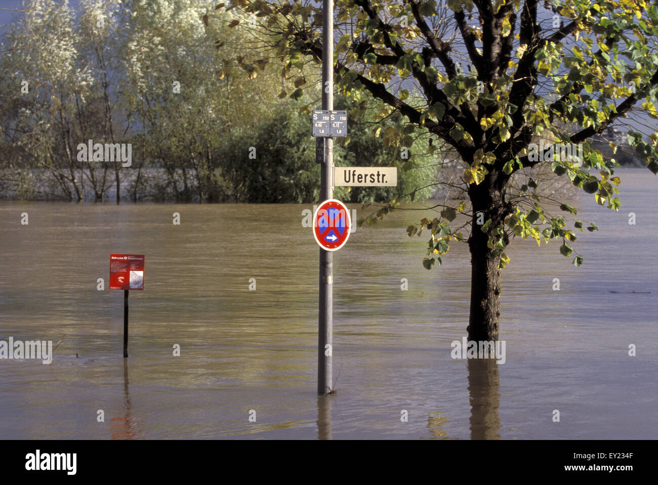DEU, Germany, Cologne, flood of the river Rhine in November 1998, a