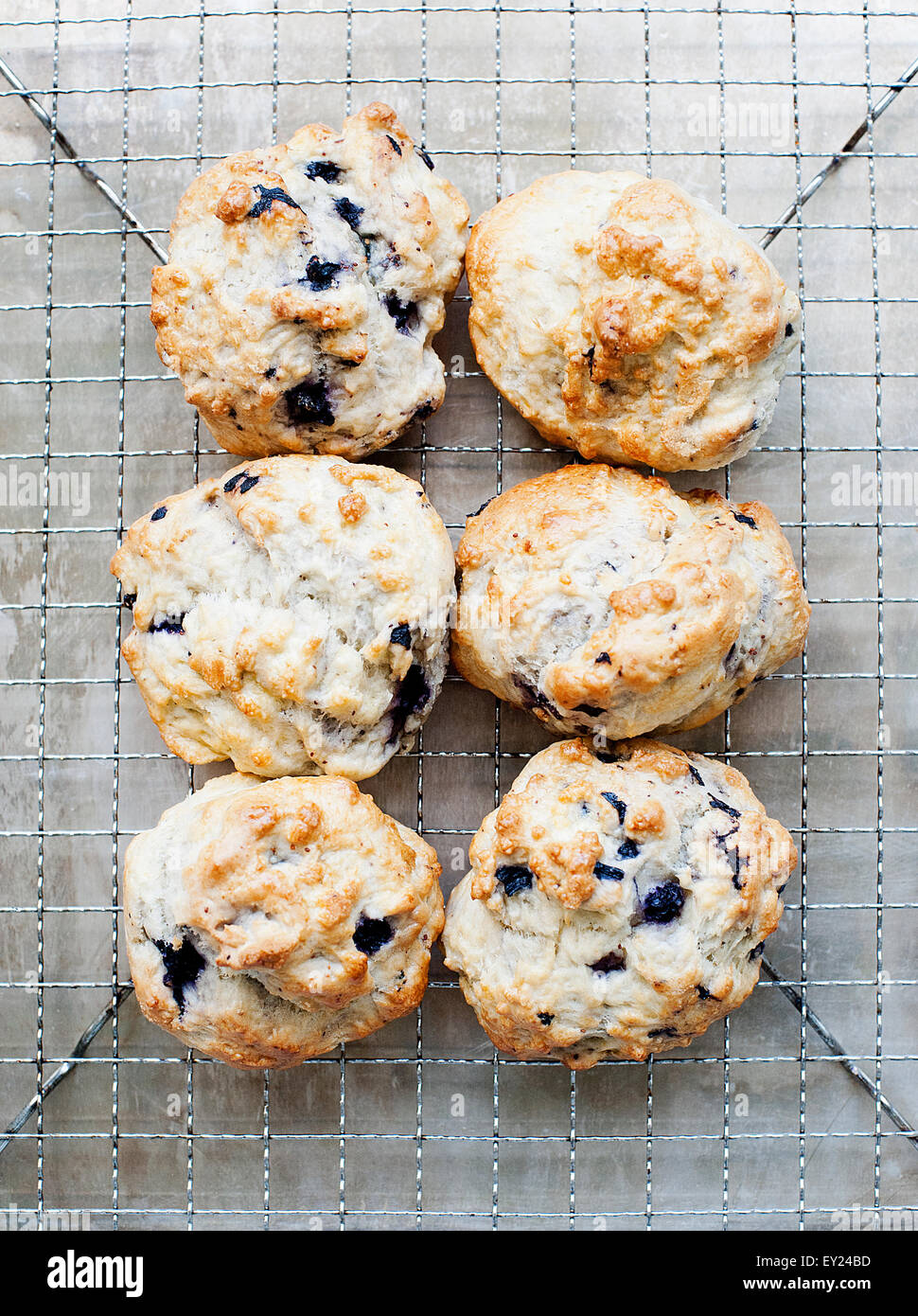 Still life of blueberry scones on cooling rack Stock Photo