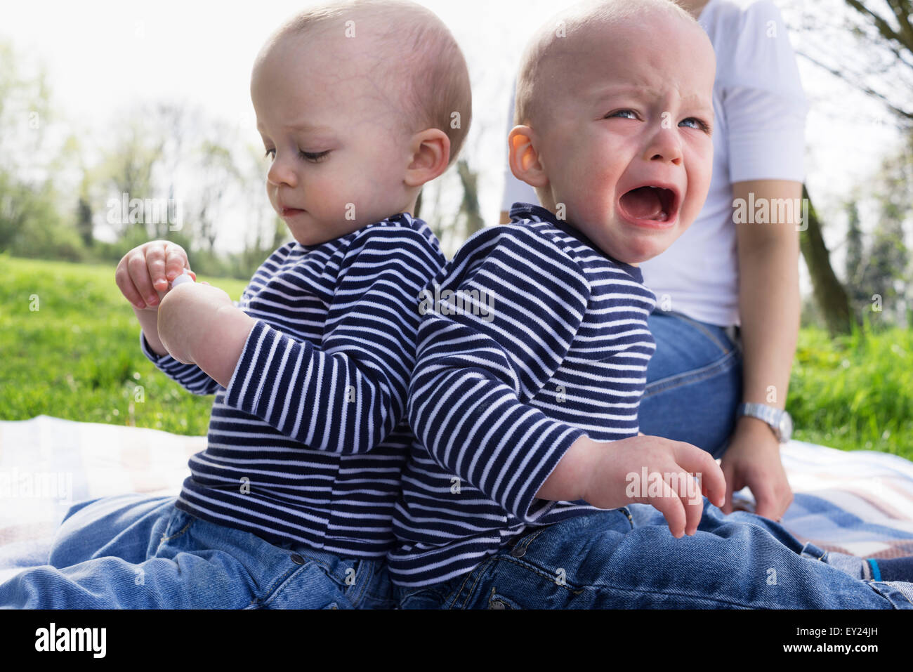 Baby twin brothers back to back on picnic blanket in field Stock Photo