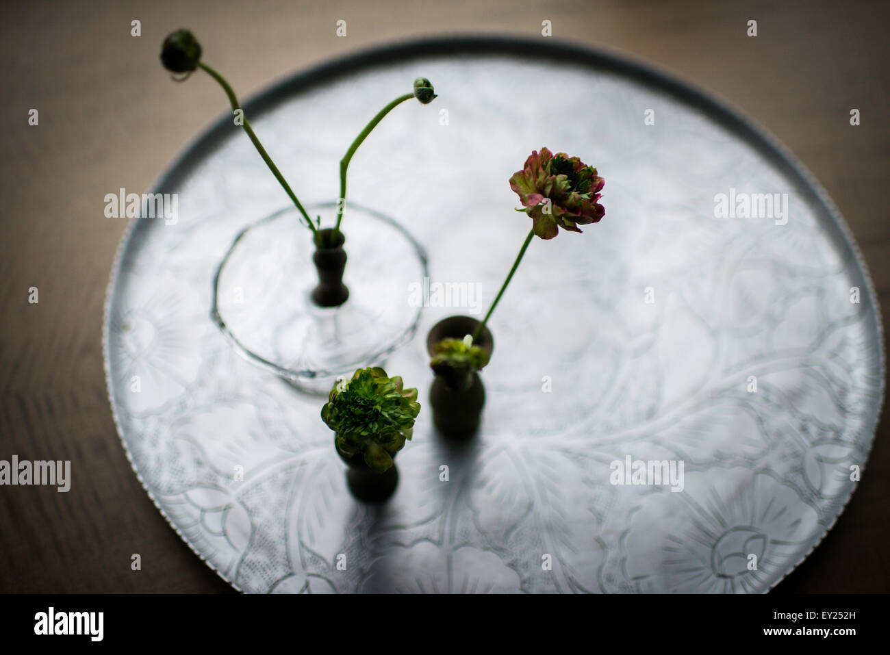 Still life of small vases of cut flowers on silver tray Stock Photo