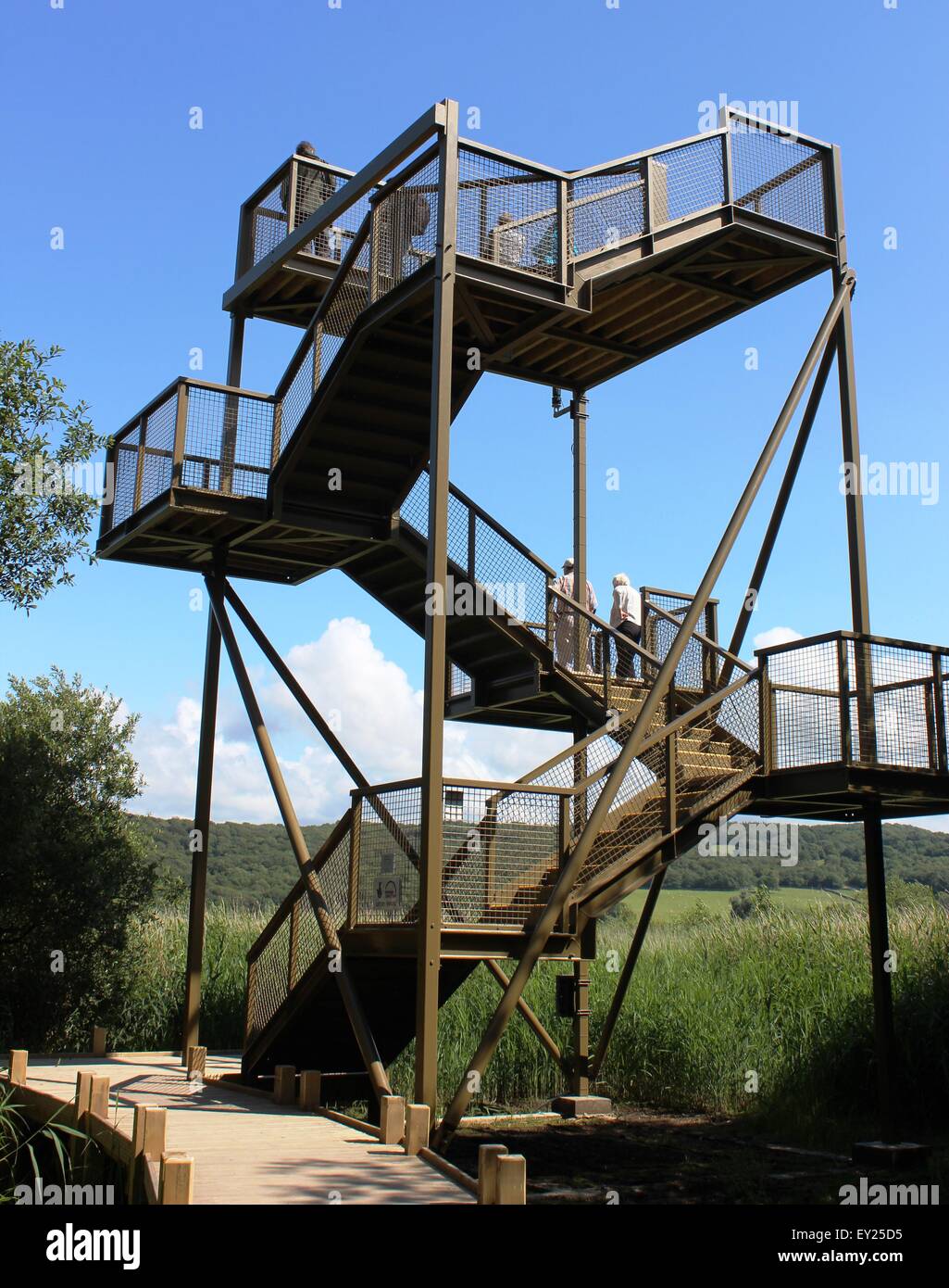 Sky tower, elevated viewing platform, at Leighton Moss R.S.P.B. nature reserve, Silverdale, Lancashire Stock Photo