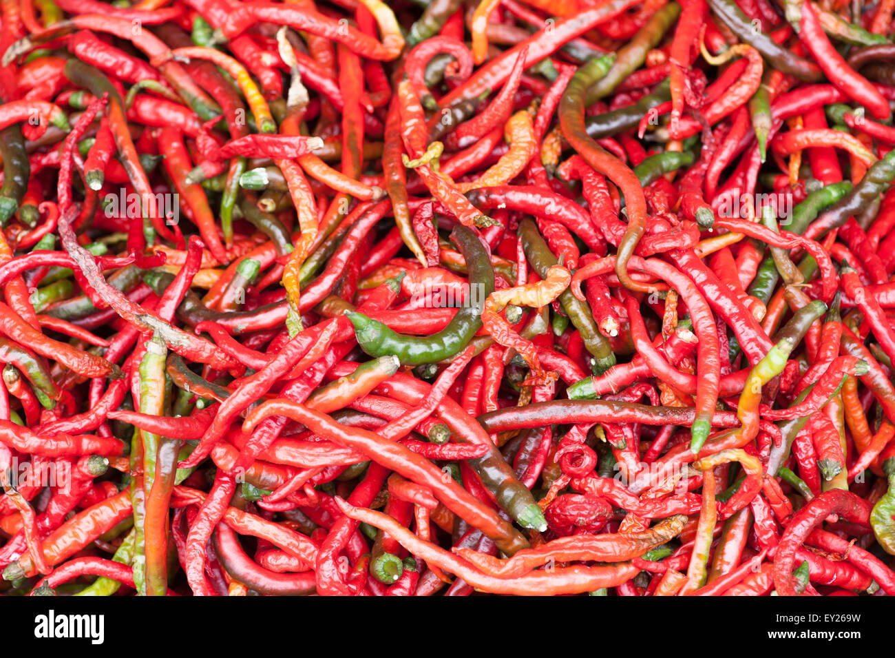 Red pepper drying outdoors - Chongzhou, Sichuan Province, China Stock Photo