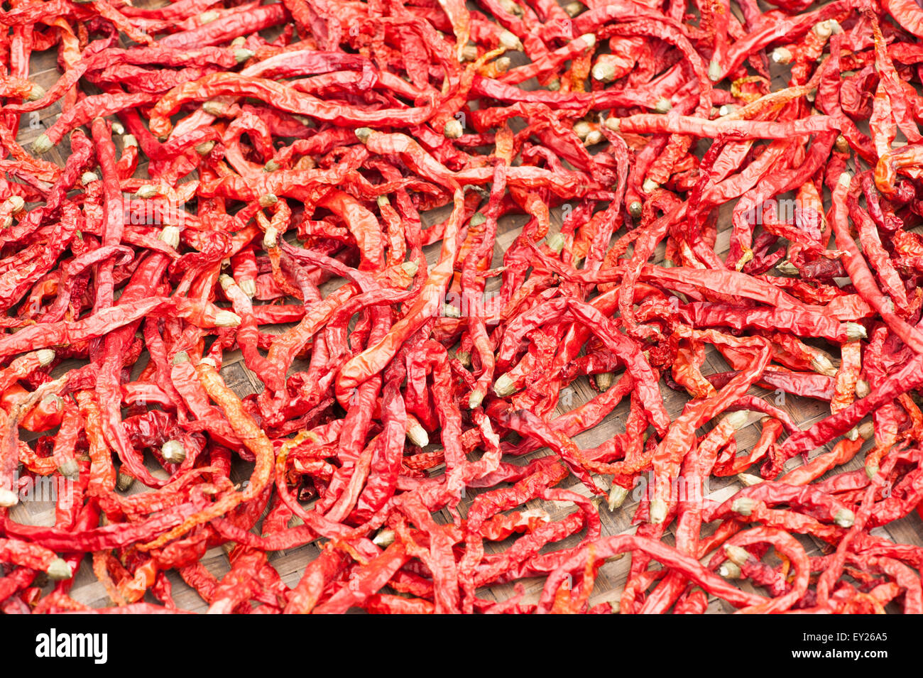 Red pepper drying outdoors in a basket - Chongzhou, Sichuan Province, China Stock Photo