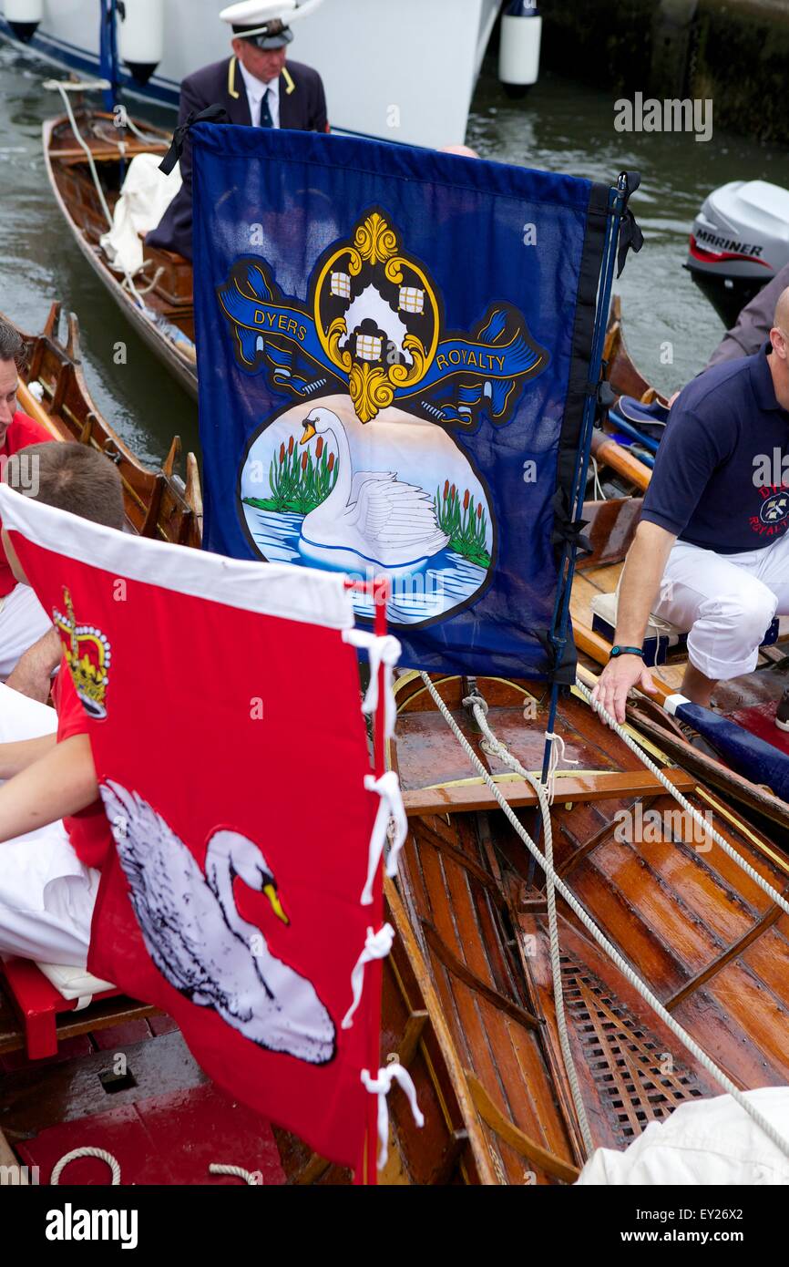 Shepperton, Surrey, UK. 20th July, 2015. The annual census of the swan population on the River