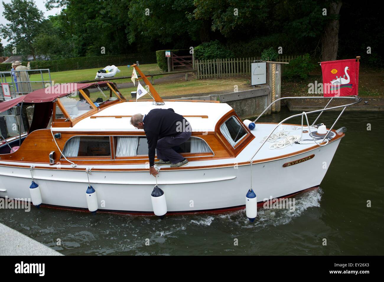 Shepperton, Surrey, UK. 20th July, 2015. The annual census of the swan population on the River