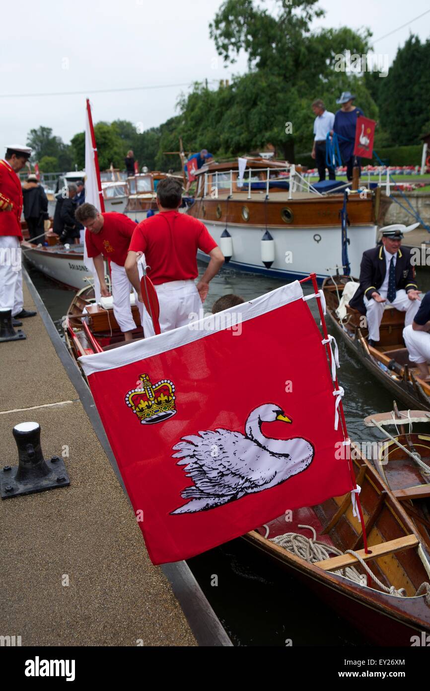 Shepperton, Surrey, UK. 20th July, 2015. The annual census of the swan population on the River