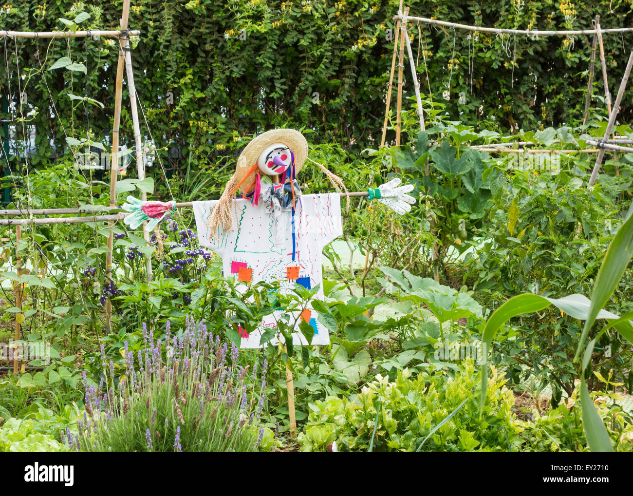 Scarecrow in vegetable plot in city allotment in Spain Stock Photo