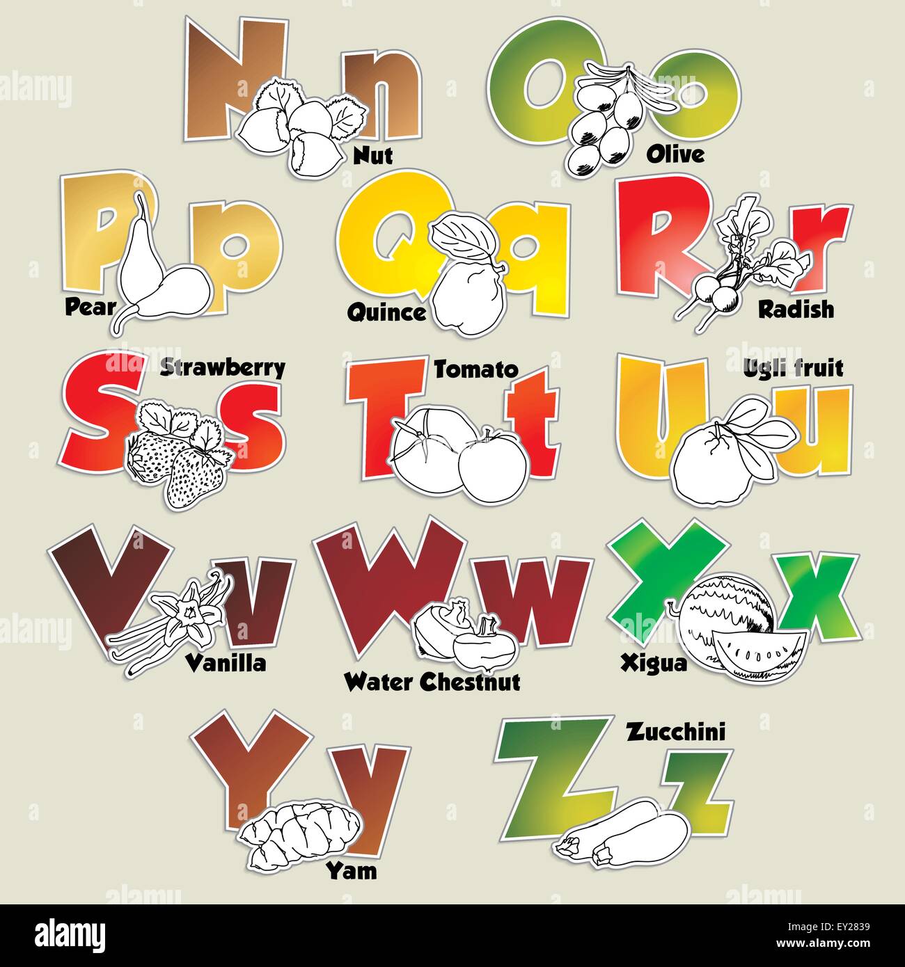 Fruits and vegetables alphabet from N to Z vector eps 10 illustration