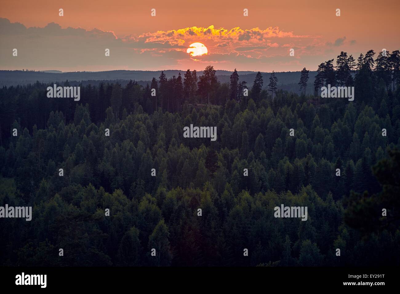 Colourful Sunset Above The Forest In Finland Orange Clouds And Green Stock Photo Alamy