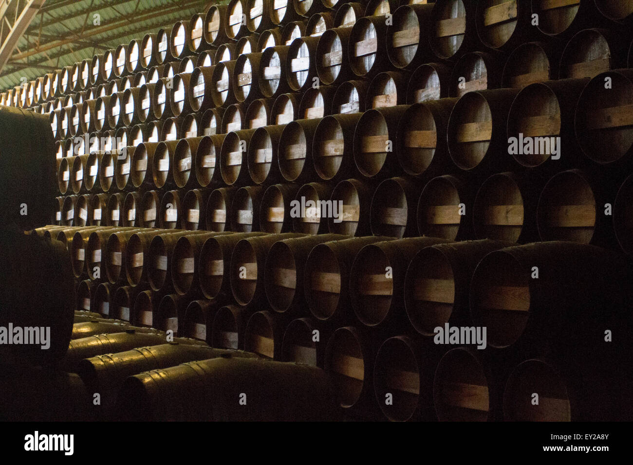 Moscatel barrels in Bacalhoa, Setúbal, Lisbon, Portugal Stock Photo