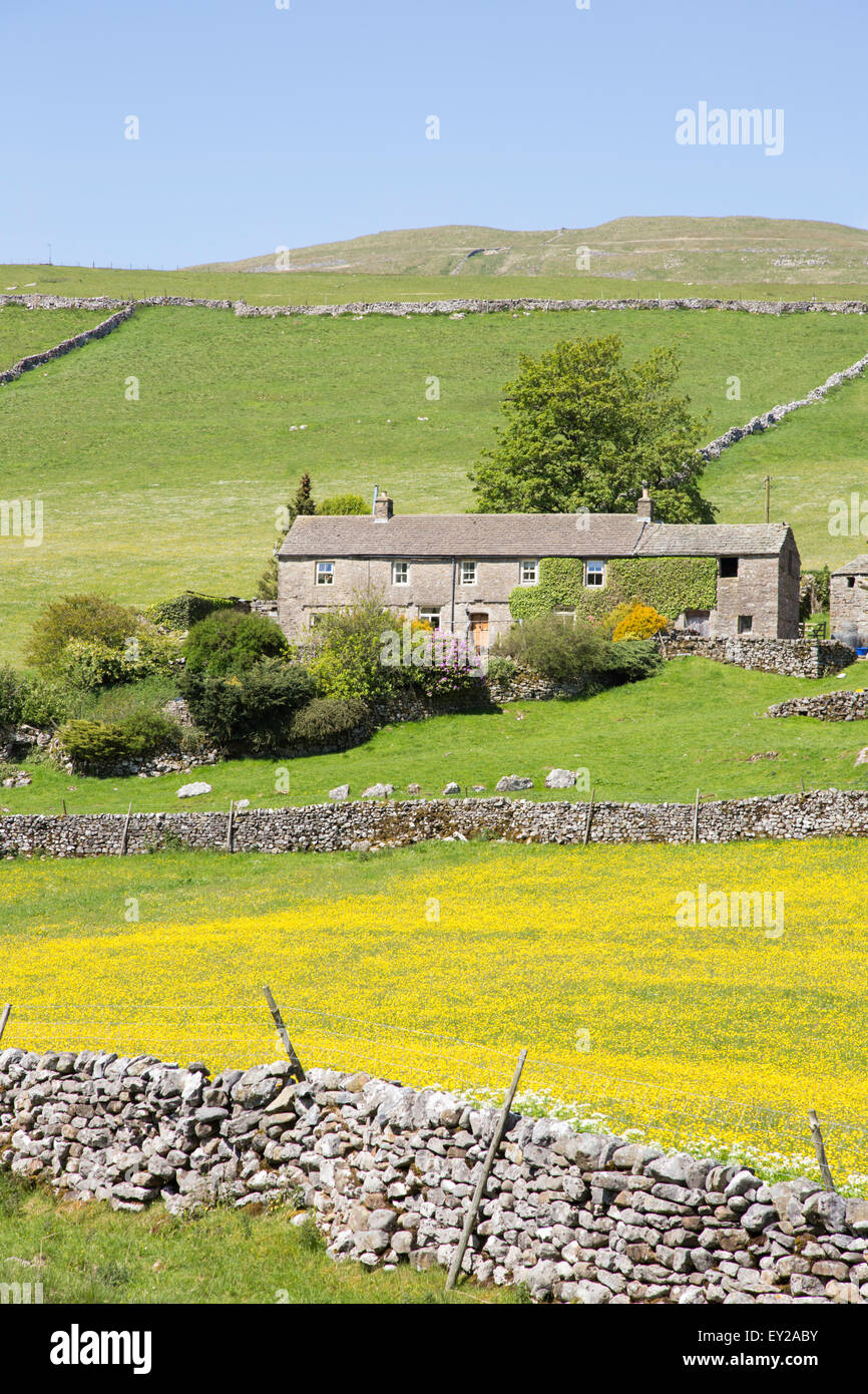 Traditional stone Dales farmhouse in Wharfdale, Yorkshire Dales