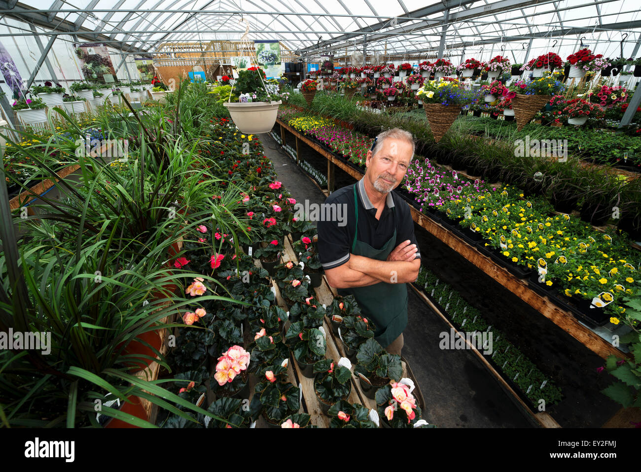 A man standing in a greenhouse with shelves of plants Stock Photo - Alamy