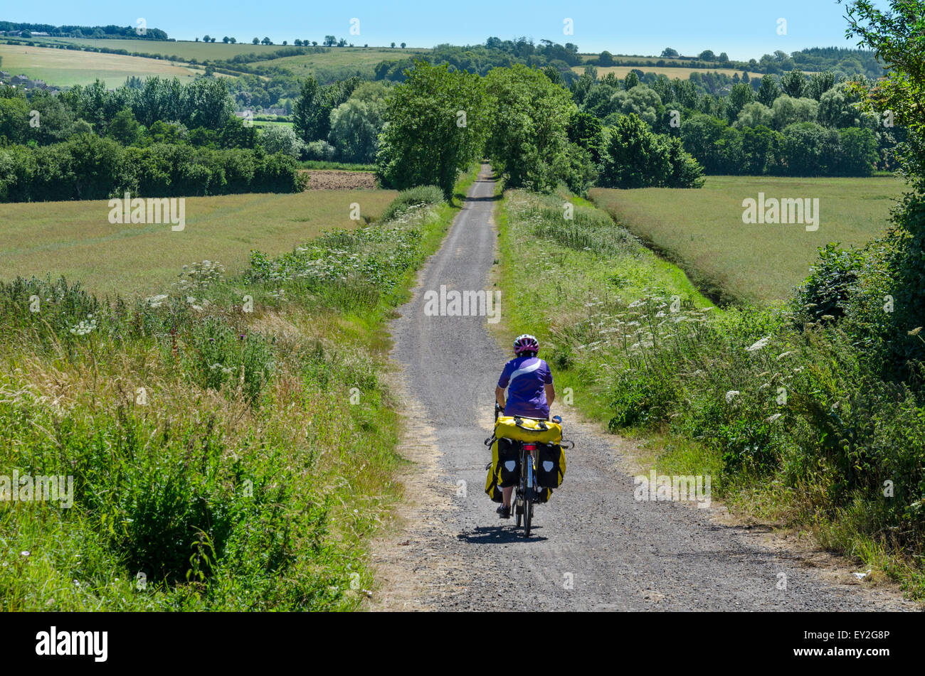 Lady Cycle touring on the NCN National  Cycle Network National Route 25 (Dorset Trailway) Stock Photo