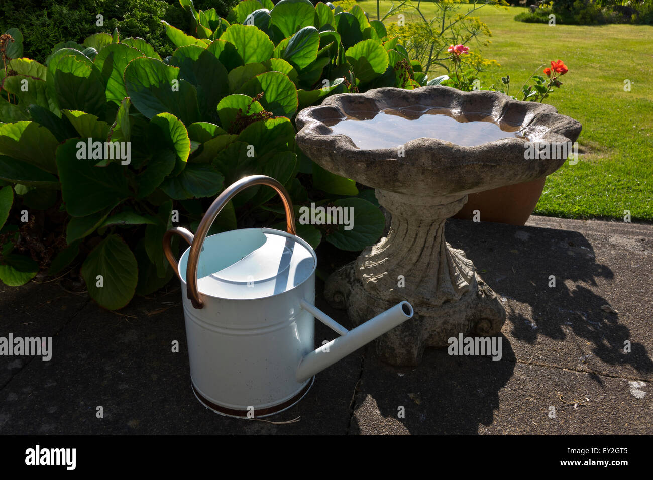 bird bath in garden Stock Photo Alamy