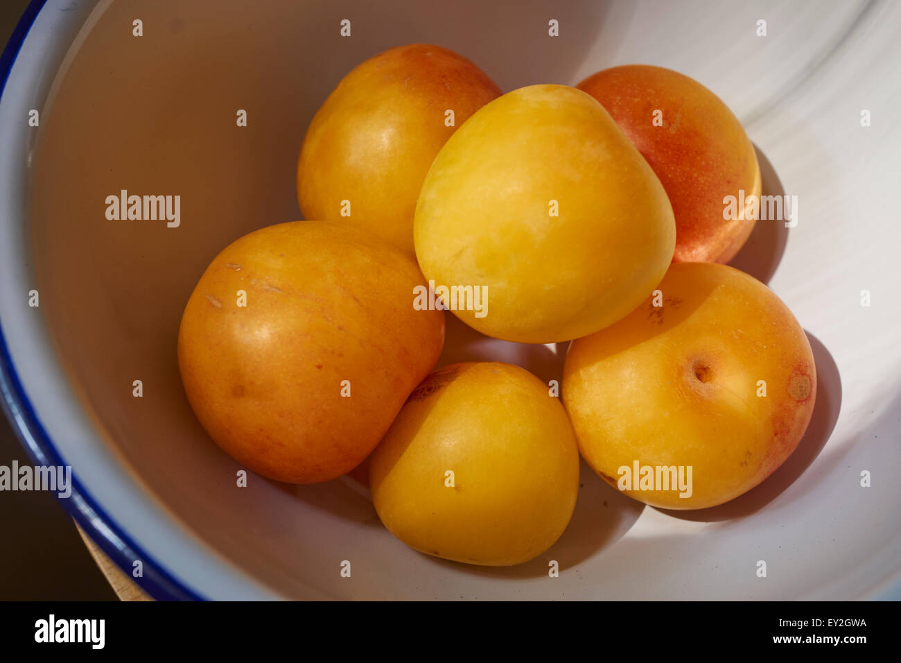 A bowl of yellow plums Stock Photo