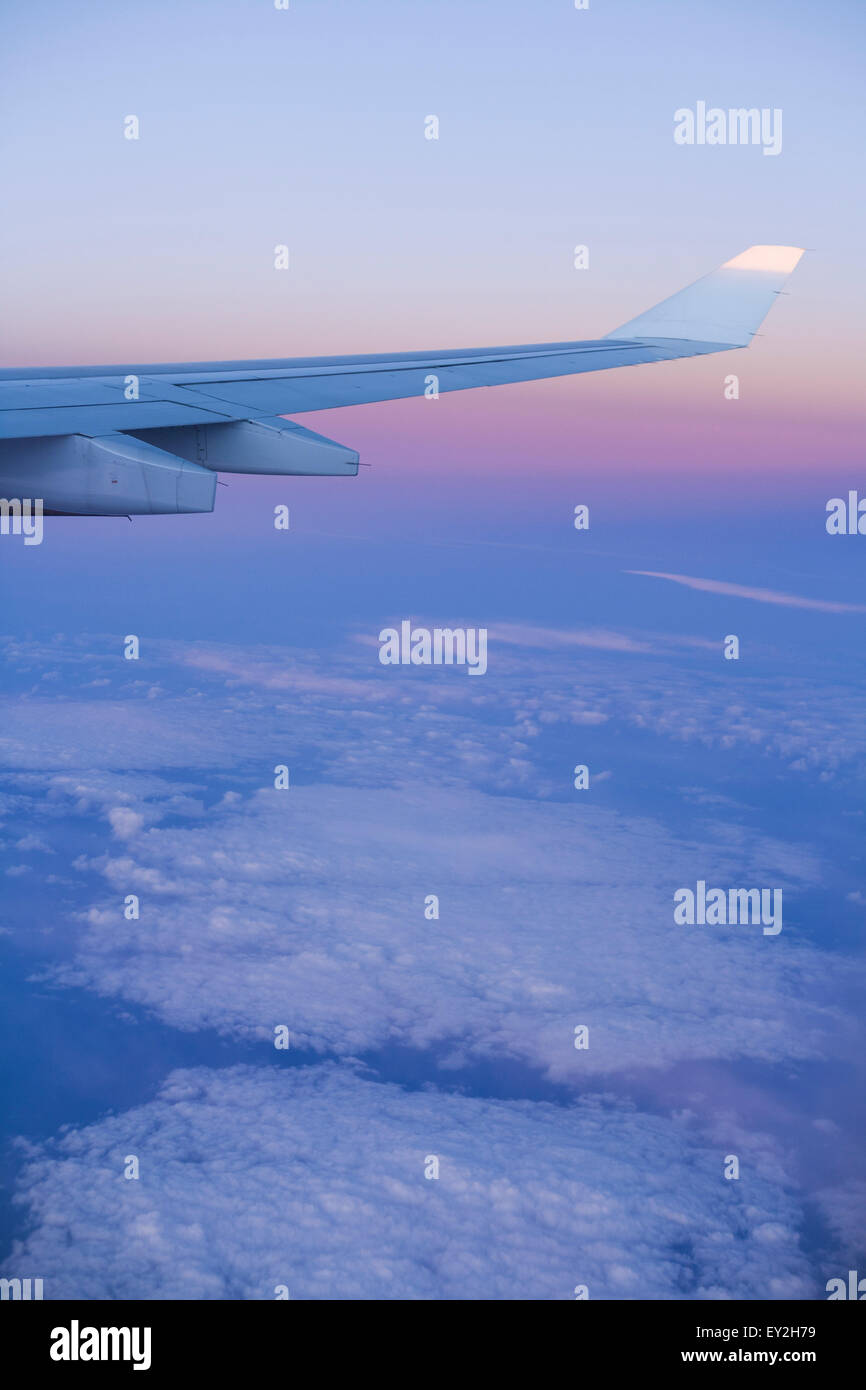 Wing_tip High Resolution Stock Photography and Images - Alamy