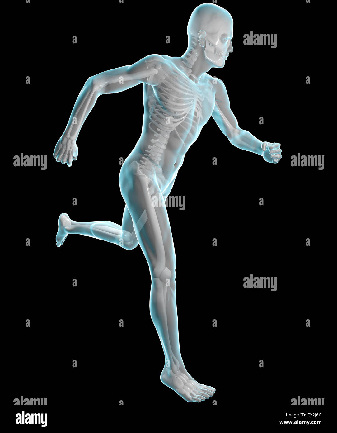 3d human body x rays 3d hi-res stock photography and images - Alamy