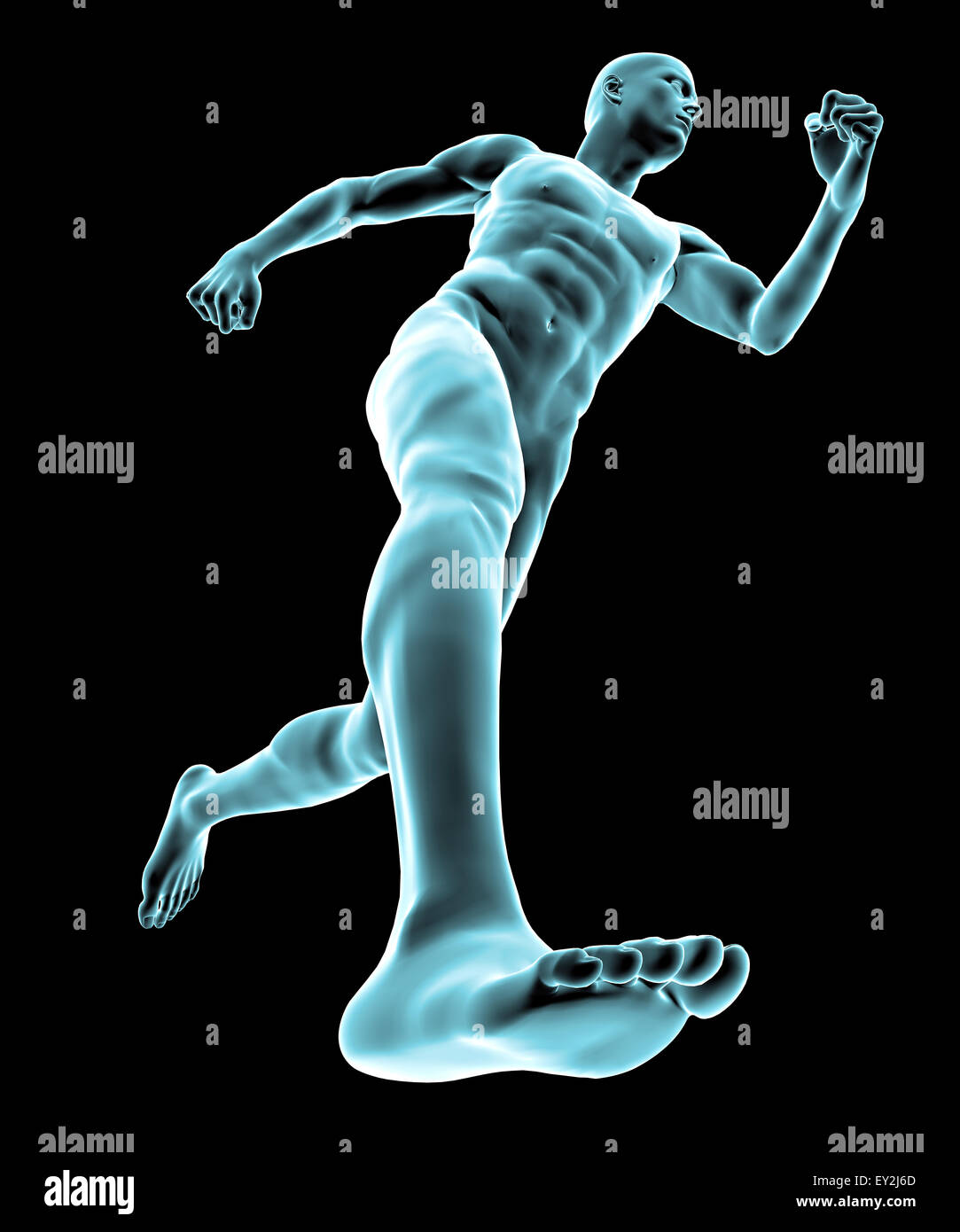 3d X ray of human body and skeleton Stock Photo - Alamy