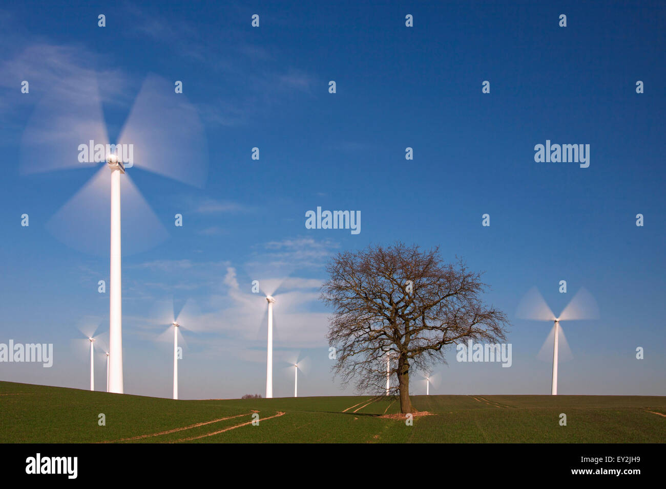 Solitary tree in between spinning wind turbines at wind farm in field