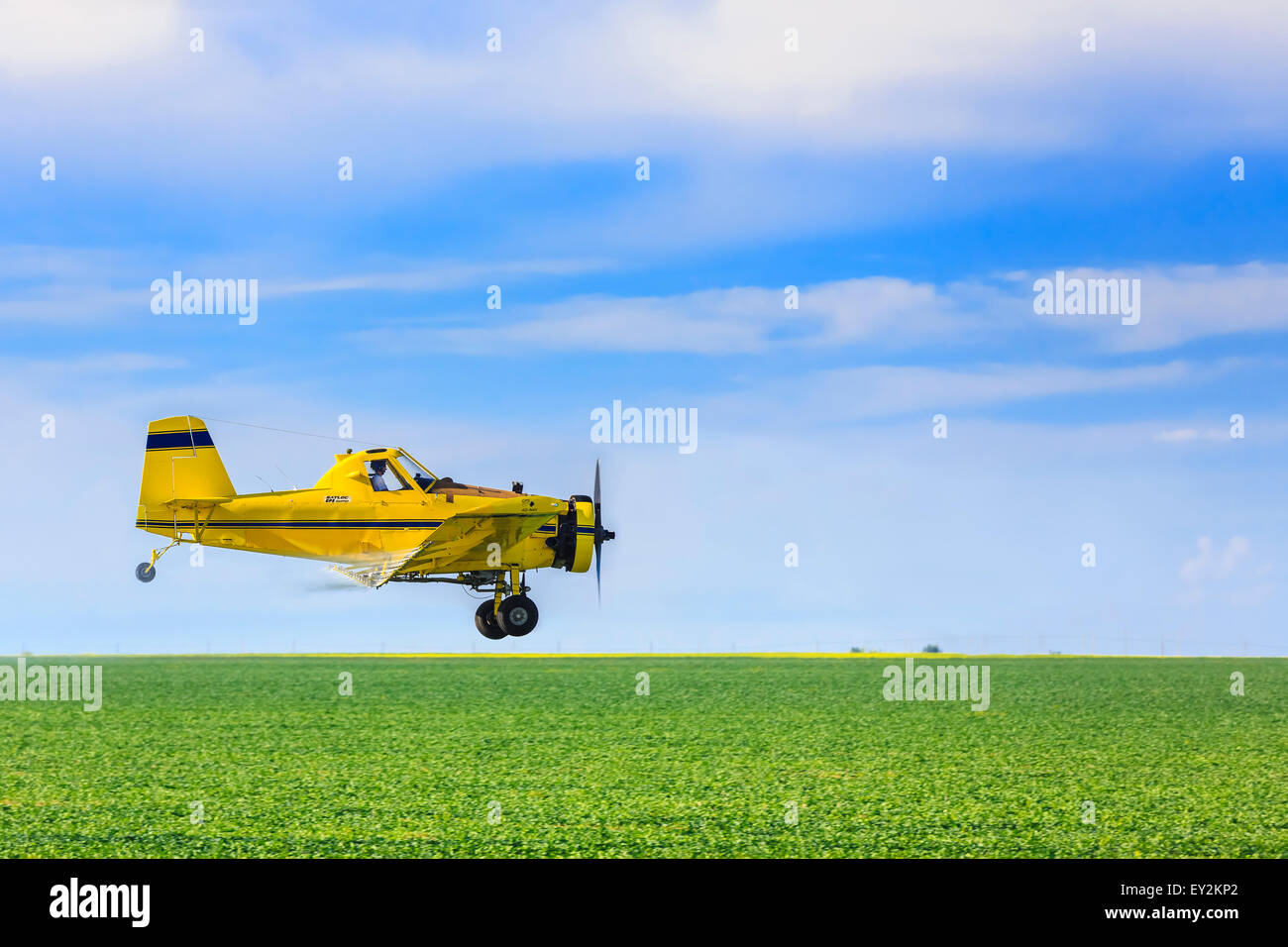 Crop duster aircraft spraying farm field, near Regina, Saskatchewan, Canada. Stock Photo