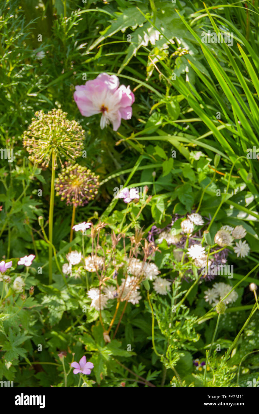 An image of Charleston Gardens , near Firle , East Sussex Stock Photo
