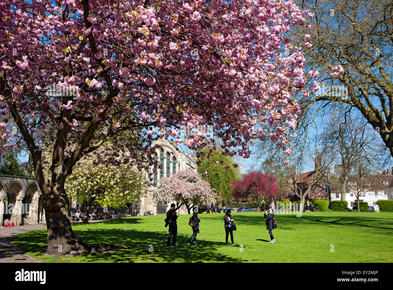 People tourists visitors in Dean's Park and Minster Library in spring York North Yorkshire England UK United Kingdom GB Great Britain Stock Photo