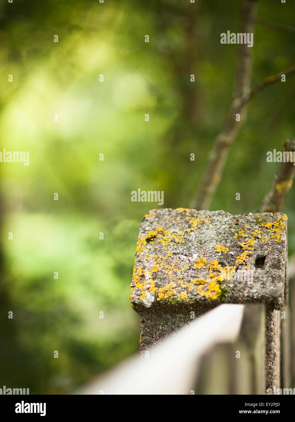 Stone fence and blurred forest background Stock Photo - Alamy