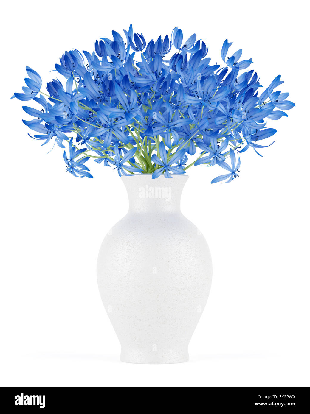 blue flowers in vase isolated on white background Stock Photo - Alamy