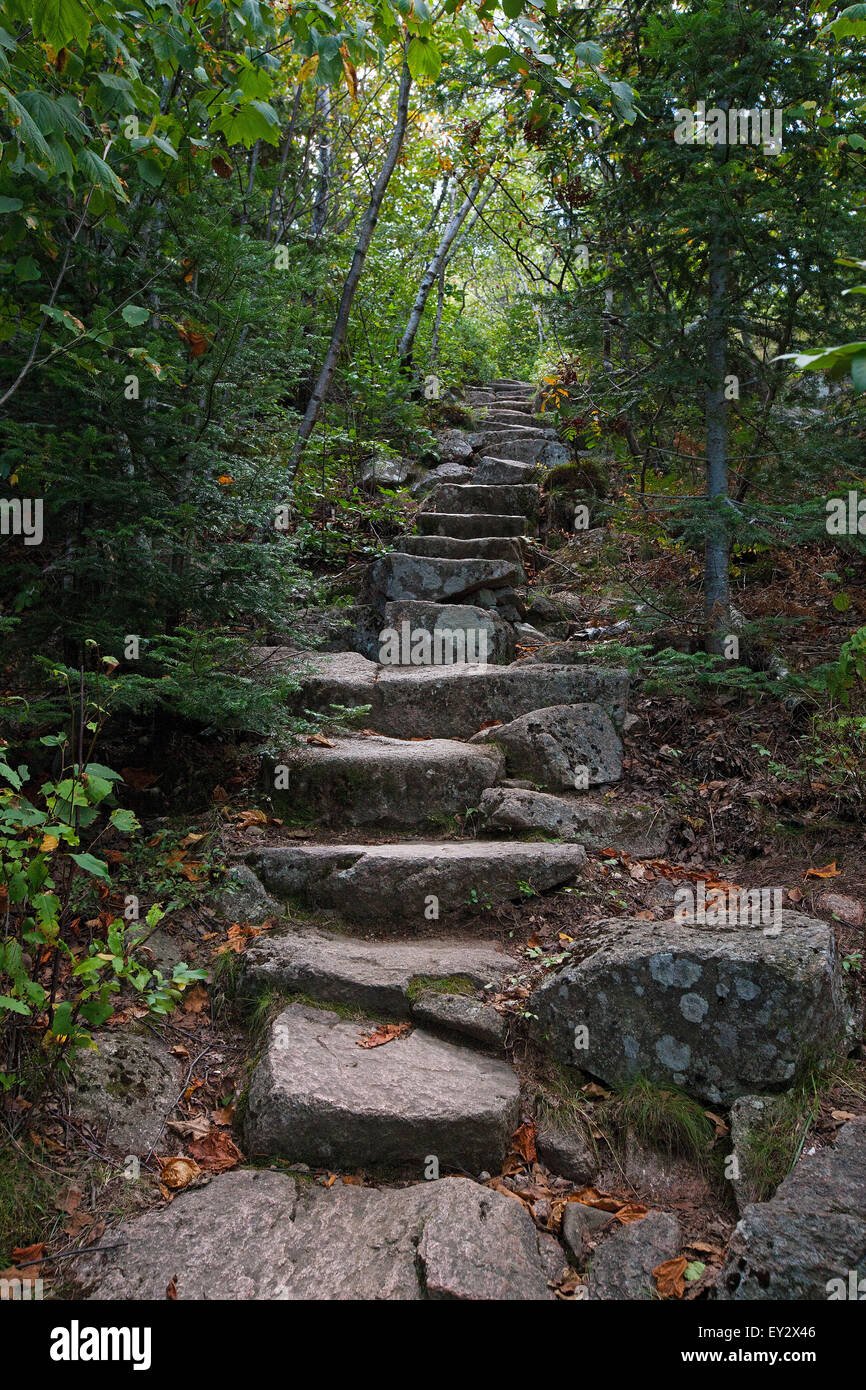 Hiking trail up Cadillac Mountain, Acadia National Park, Maine, United