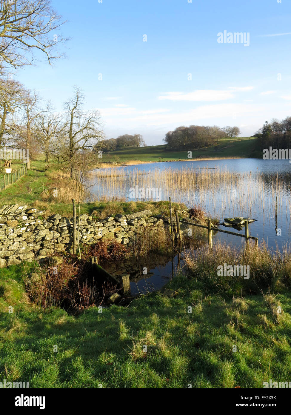 The lake and lakeside at Bigland Hall, Nr Ulverston, English Lake