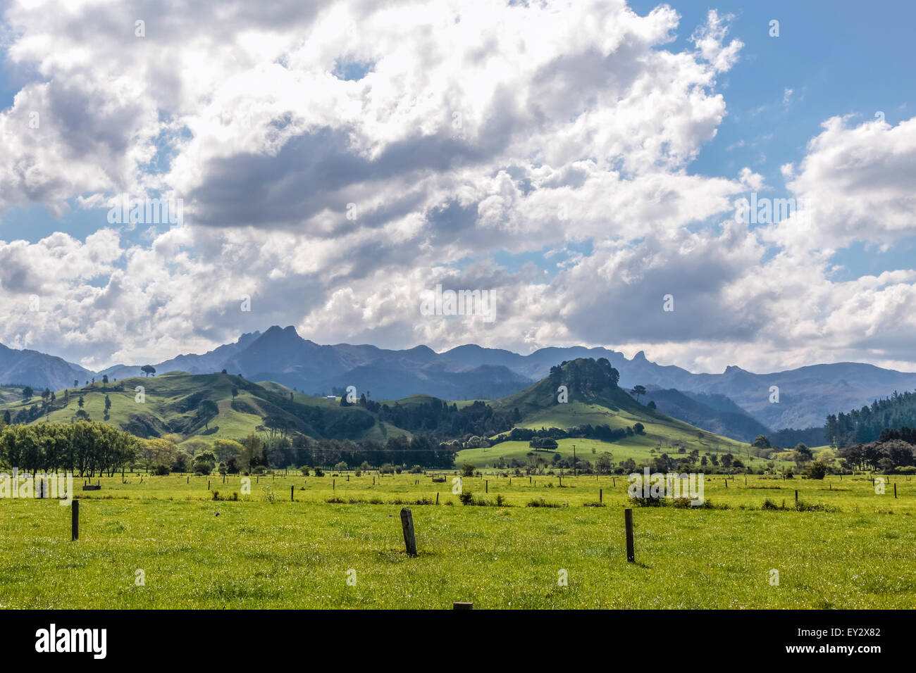 Coromandel Ranges Green landscape and mountain range at Wharekawe, Coromandel Peninsula ...